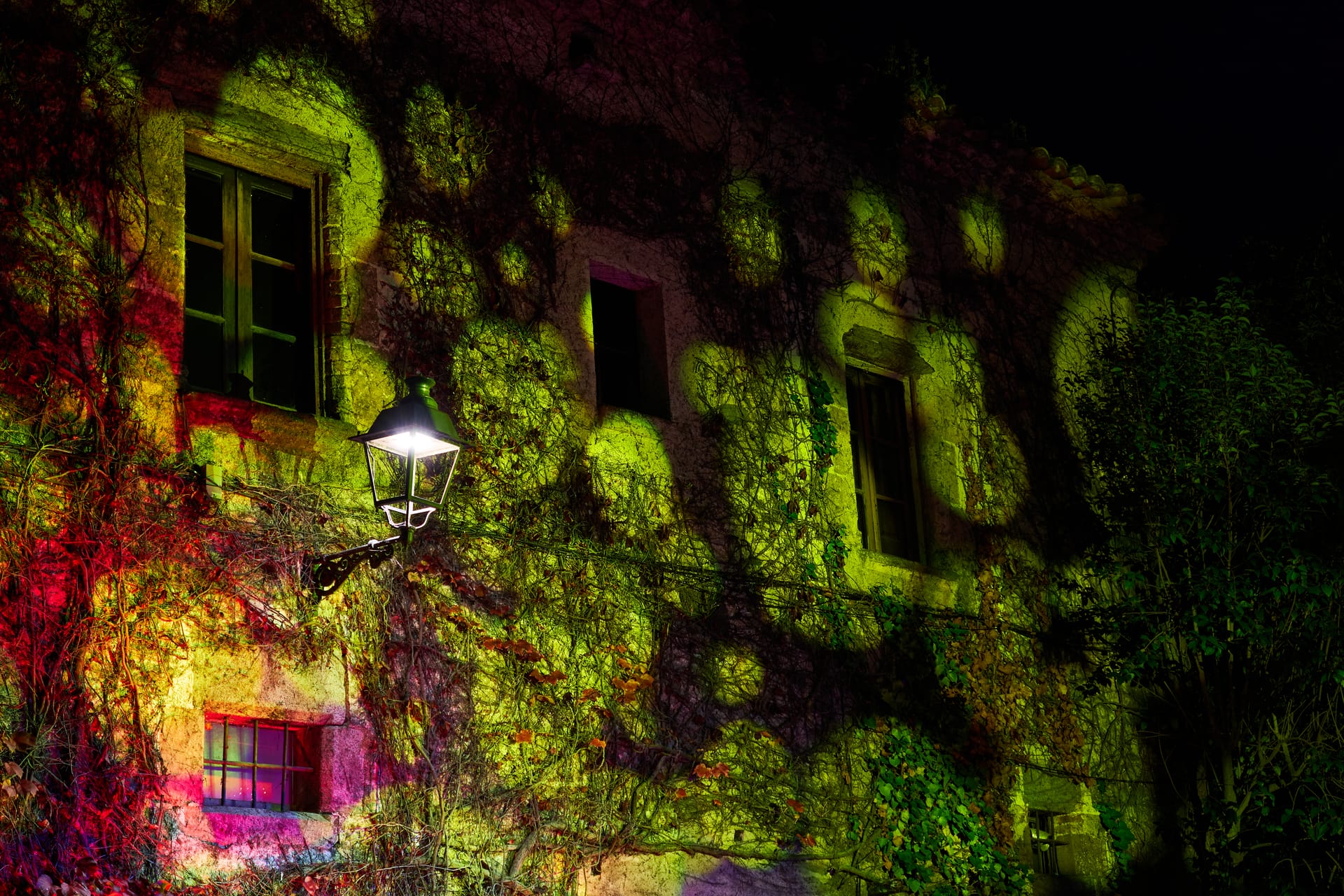 My best photos of 2024